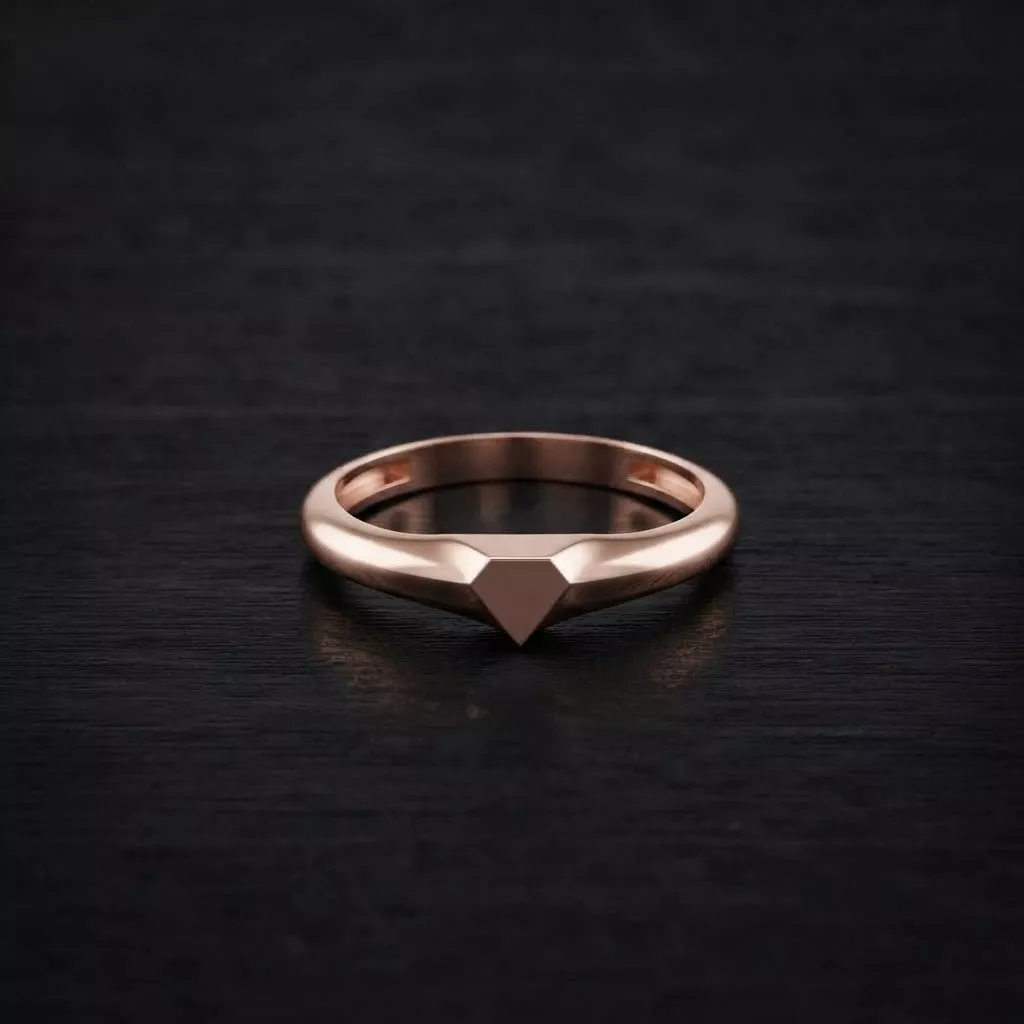 Jewelry Ring v12 S Size 3D print model