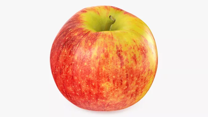 Large Gala Apple 01