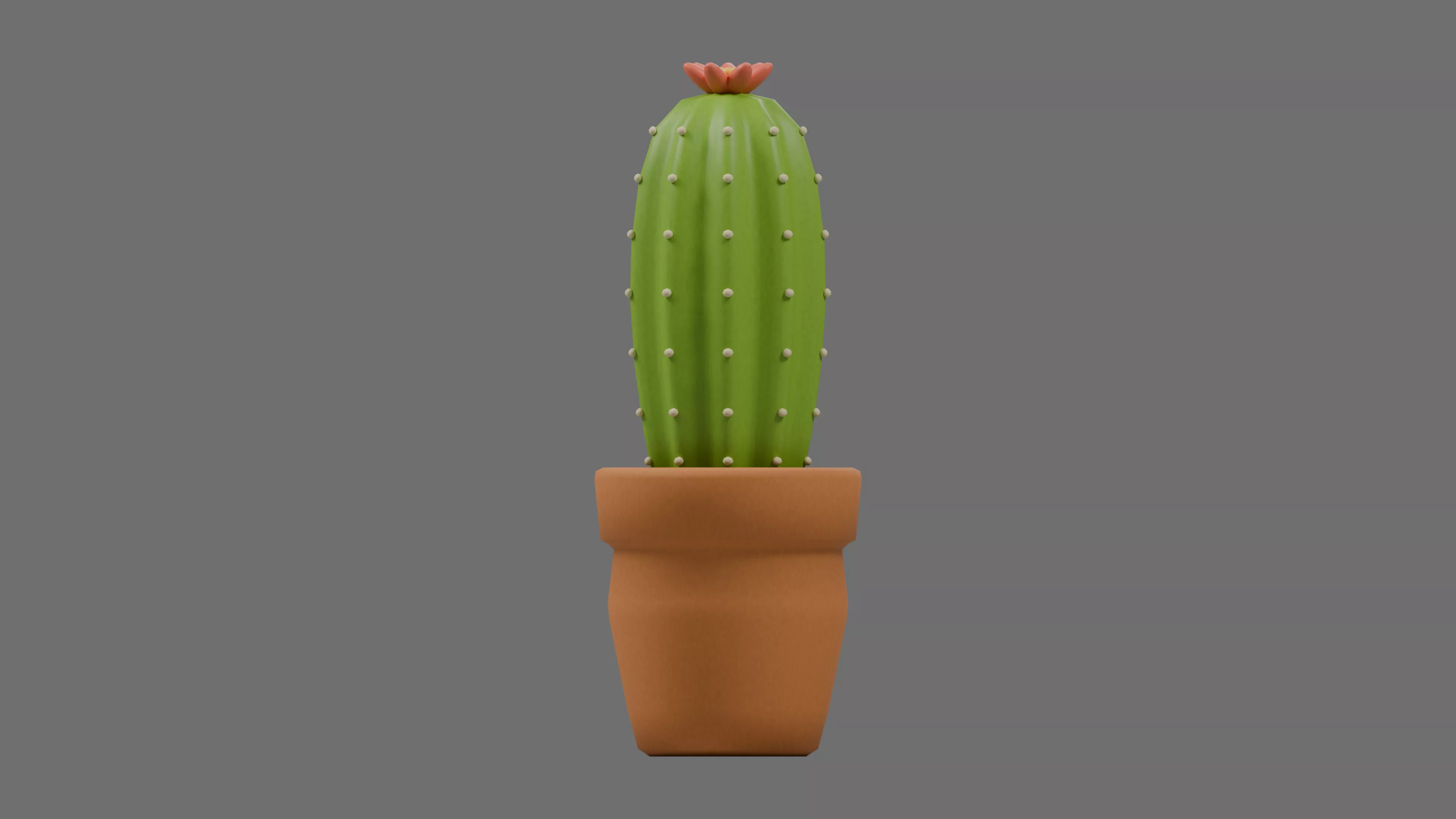 Flowering Column Cactus in Terracotta Pot Low-poly 3D model
