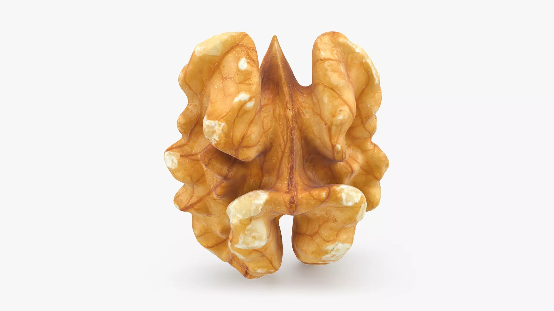 Raw Walnut Low-poly 3D model