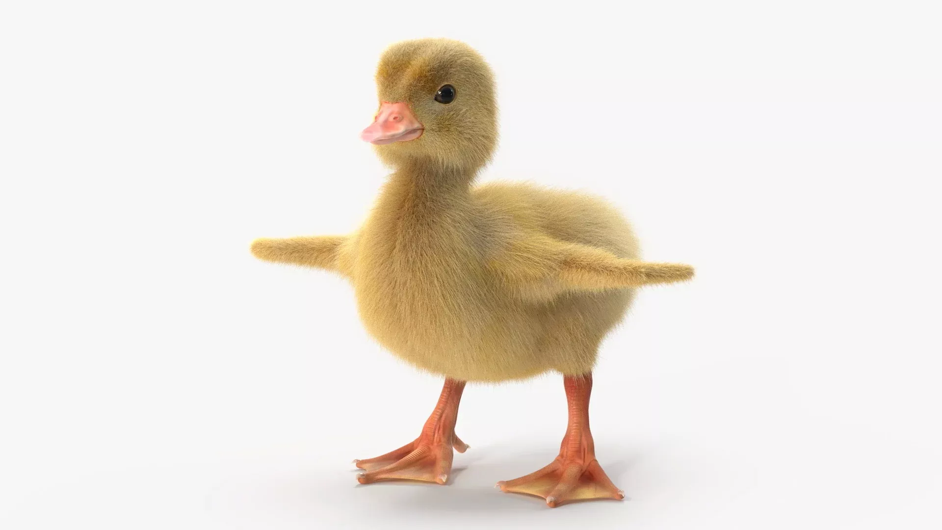Duckling 3D model