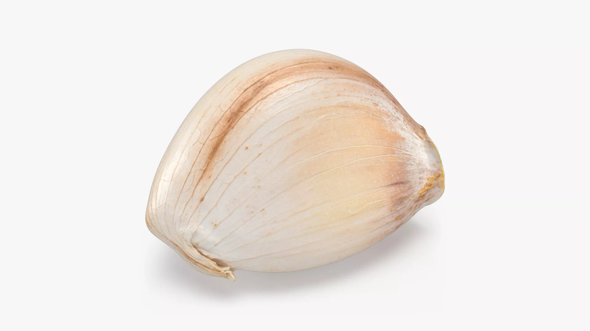 Garlic Clove 01 Low-poly 3D model
