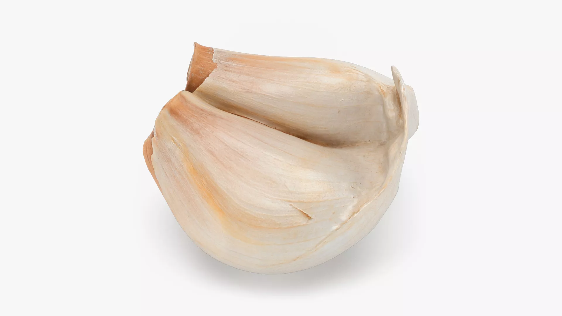 Twin Garlic Clove Low-poly 3D model