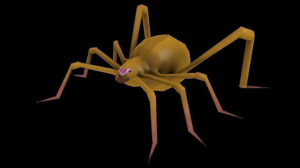 Spider Low-poly 3D model_12