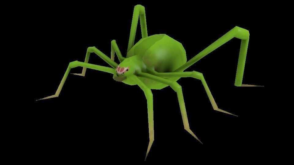 Spider Low-poly 3D model_3
