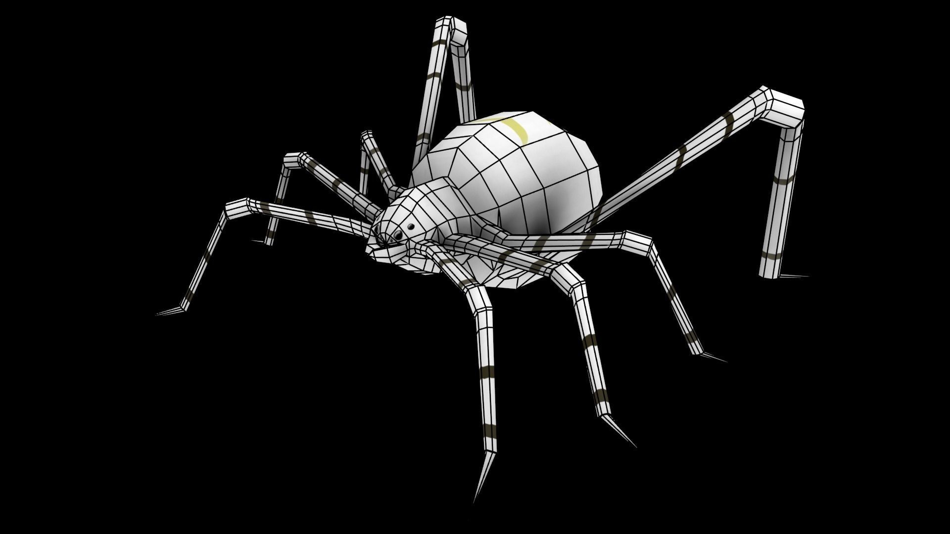 Spider Low-poly 3D model_17