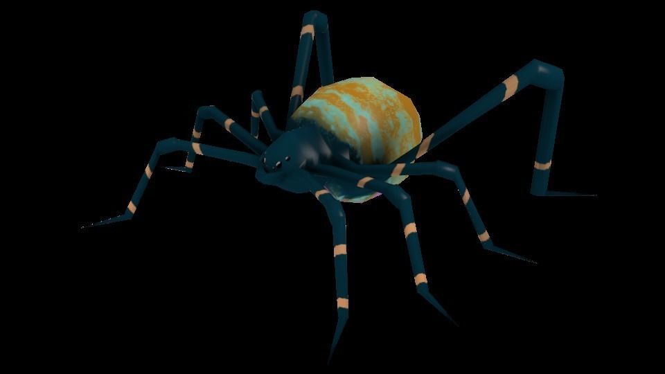 Spider Low-poly 3D model_13