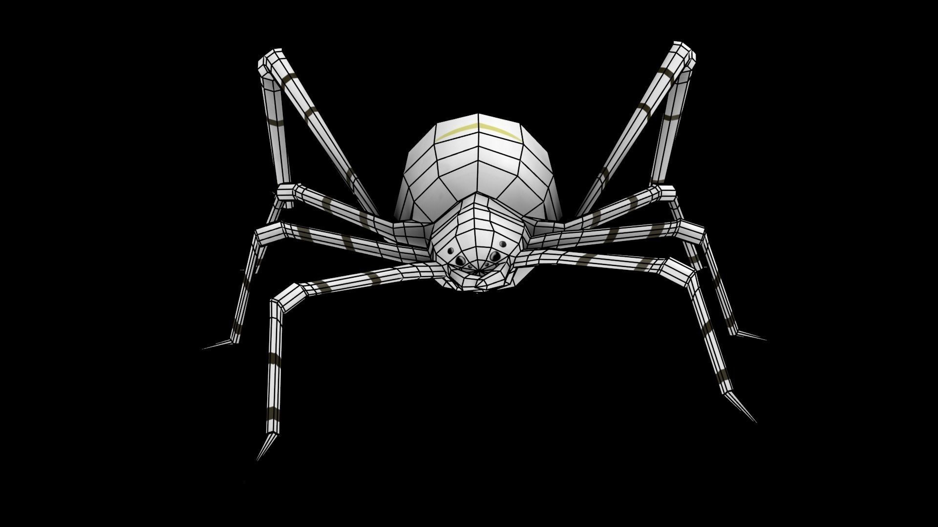 Spider Low-poly 3D model_16