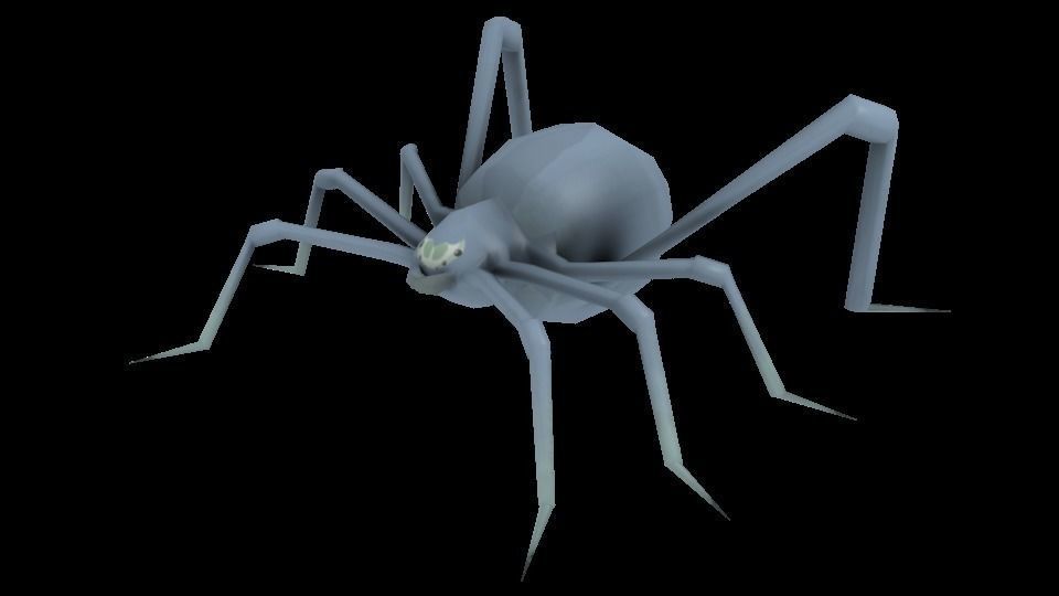 Spider Low-poly 3D model_8