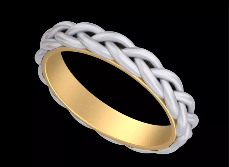 Two Tone Braided Rope Band Ring Free 3D print model