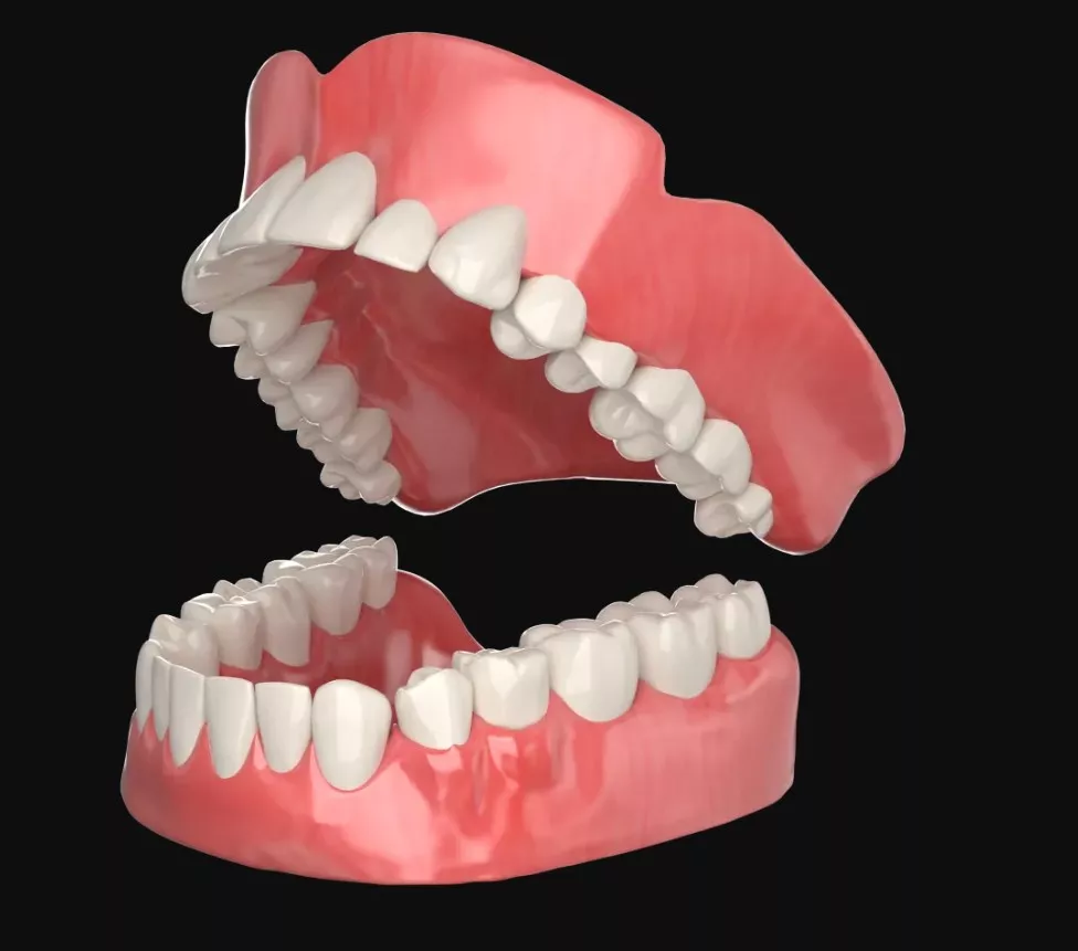 tooth model 3D print model