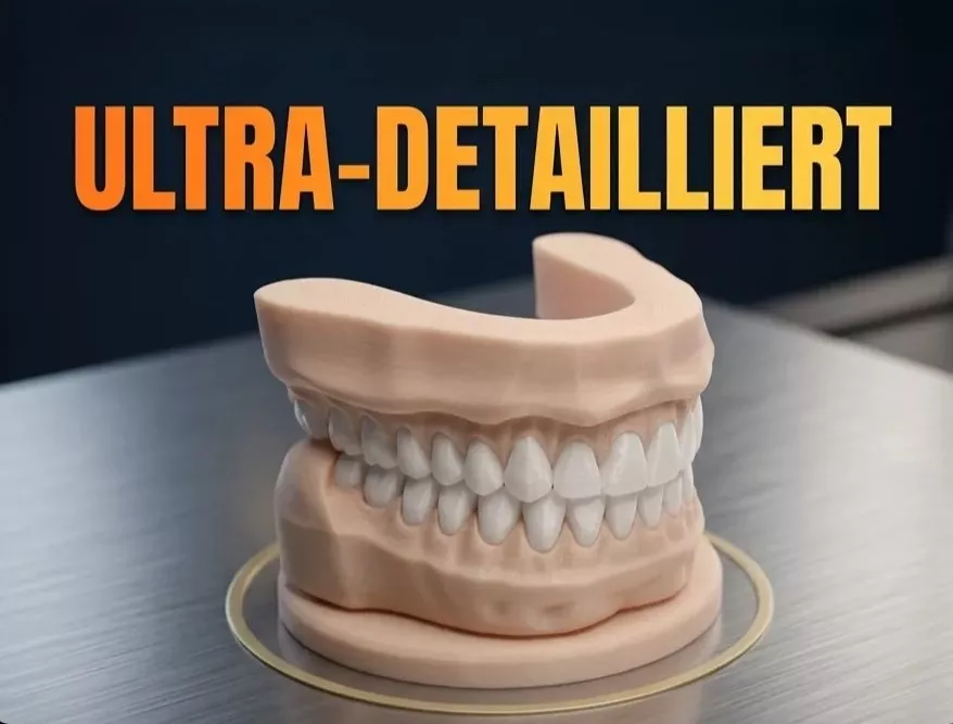 Anatomical Dental Model 3D print model