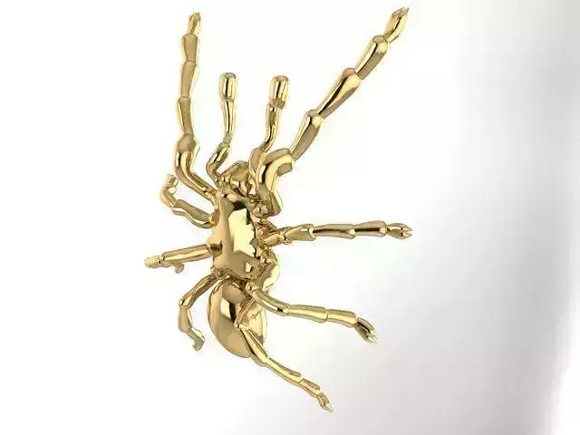 0101230 gold spider