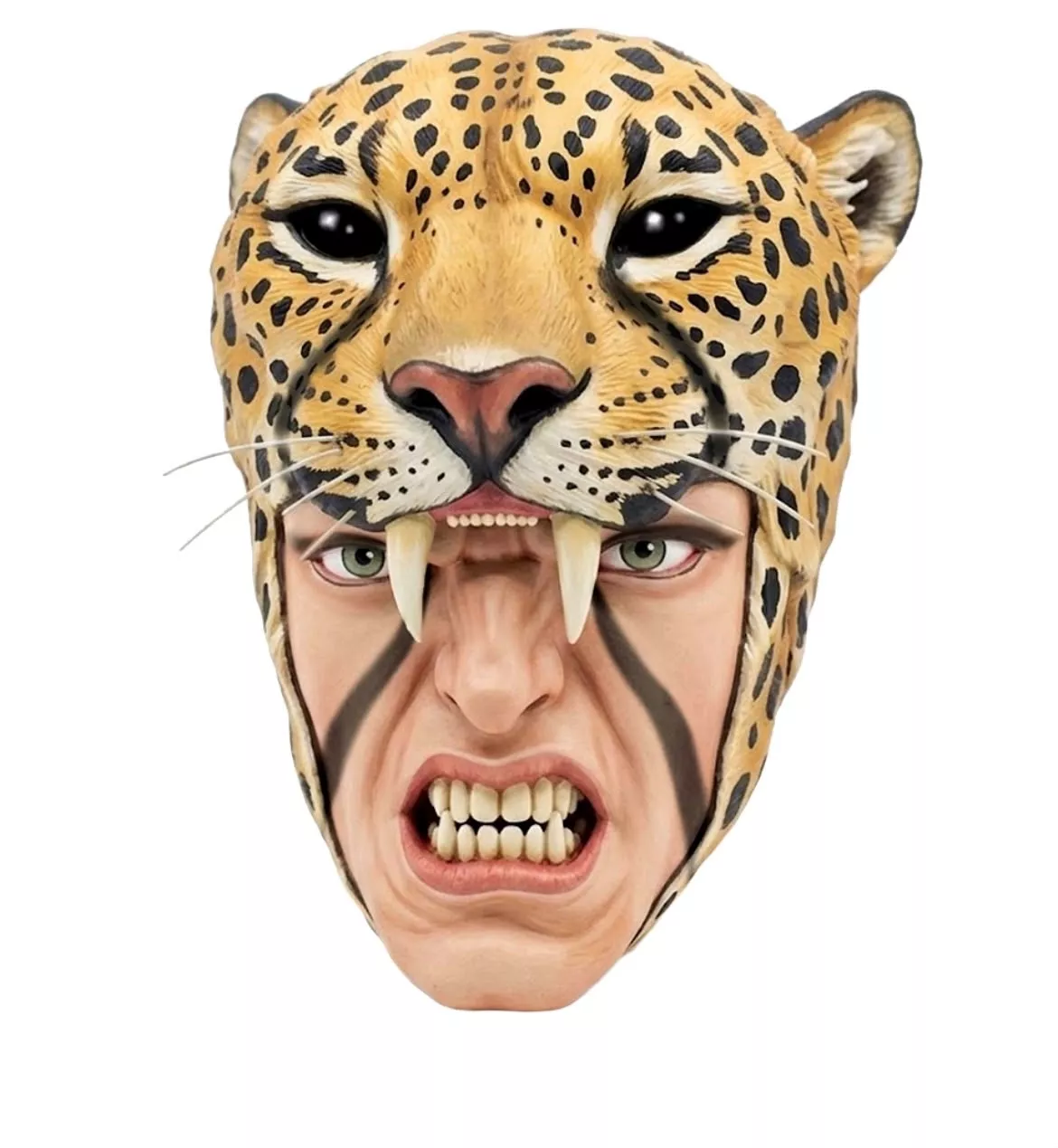 Cheetah AR 1 3D model