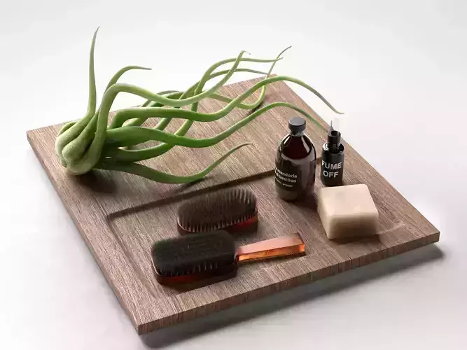 Tillandsia Plant with Bath Set 3D model