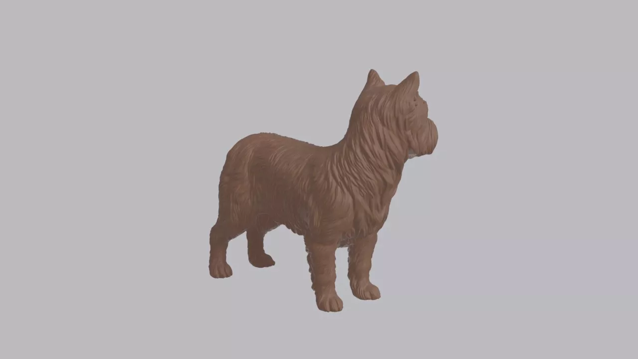 Realistic Yorkshire Terrier Looking Side Dog Sculpture 3D print model