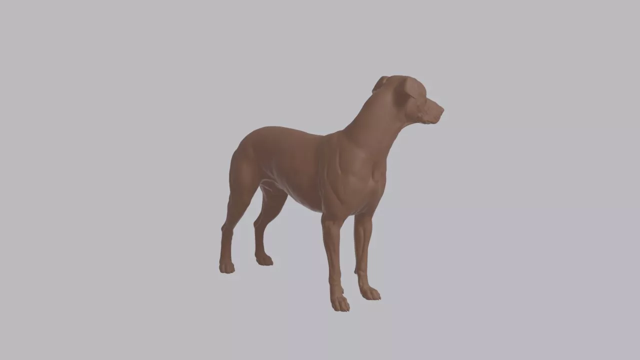 Realistic Xoloitzcuintli Looking Side Dog Sculpture 3D print model