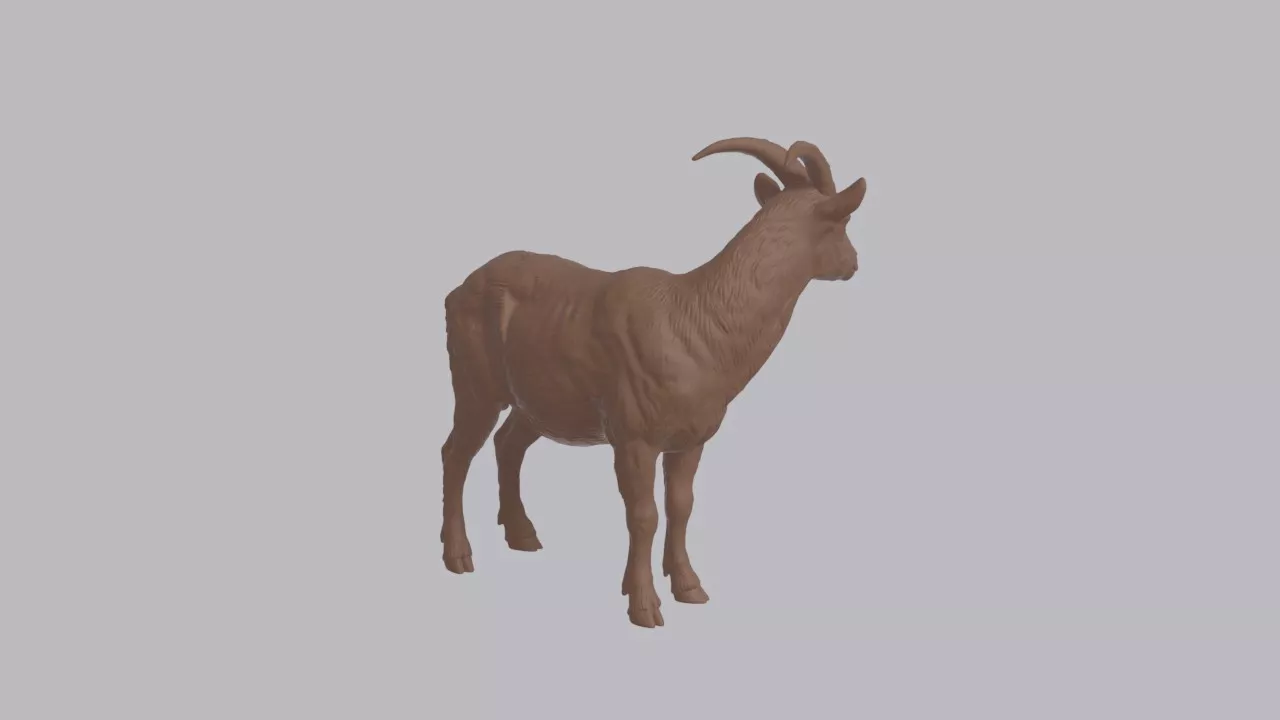 Realistic Wild Goat Looking Side Animal Sculpture 3D print model