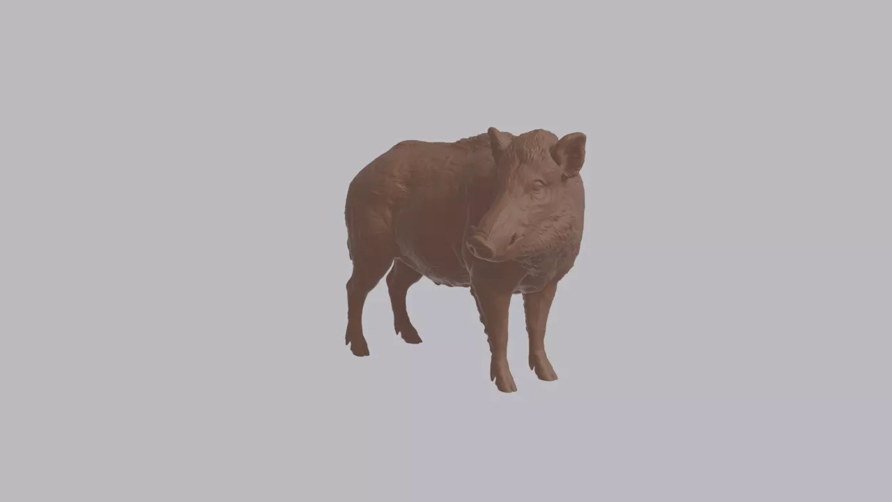Realistic Wild Boar Looking Side Animal Sculpture 3D print model