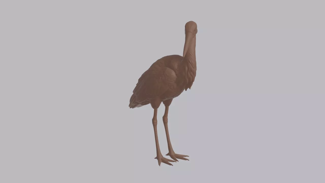 Realistic White Stork Looking Side Bird Sculpture 3D print model