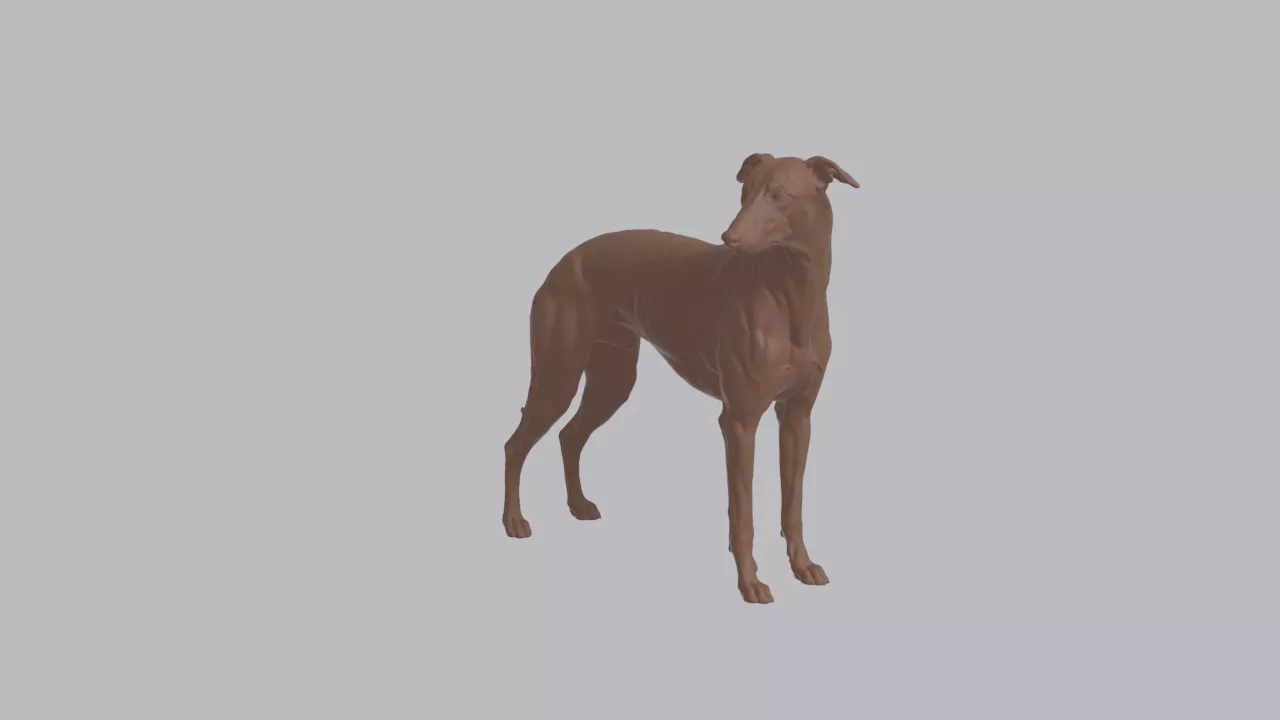 Realistic Whippet Looking Side Dog Sculpture 3D print model