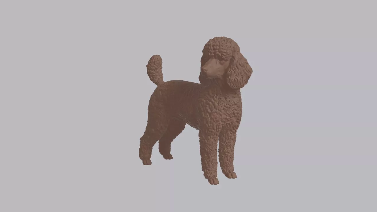 Realistic Toy Poodle Looking Side Dog Sculpture 3D print model
