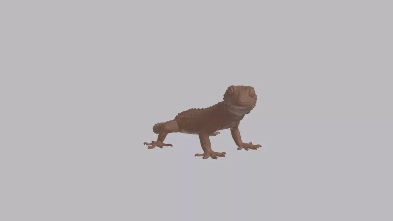 Realistic Tokay Gecko Looking Side Reptile Sculpture 3D print model