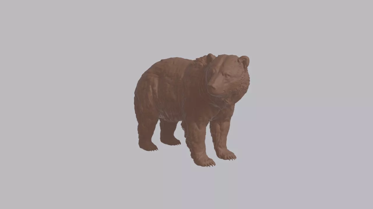 Realistic Sloth Bear Looking Side Animal Sculpture 3D print model