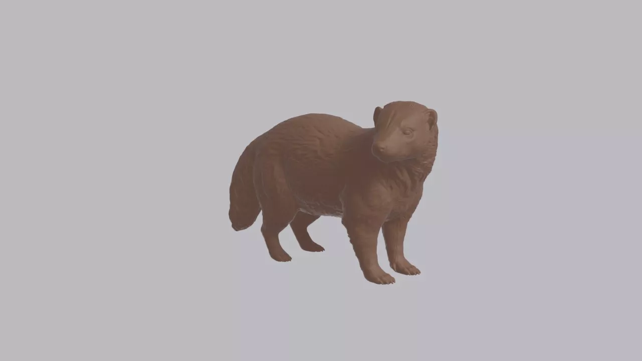 Realistic Skunk Looking Side Animal Sculpture 3D print model