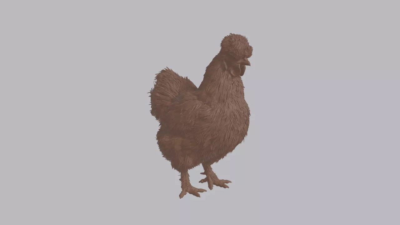 Realistic Silkie Chicken Looking Side Bird Sculpture 3D print model