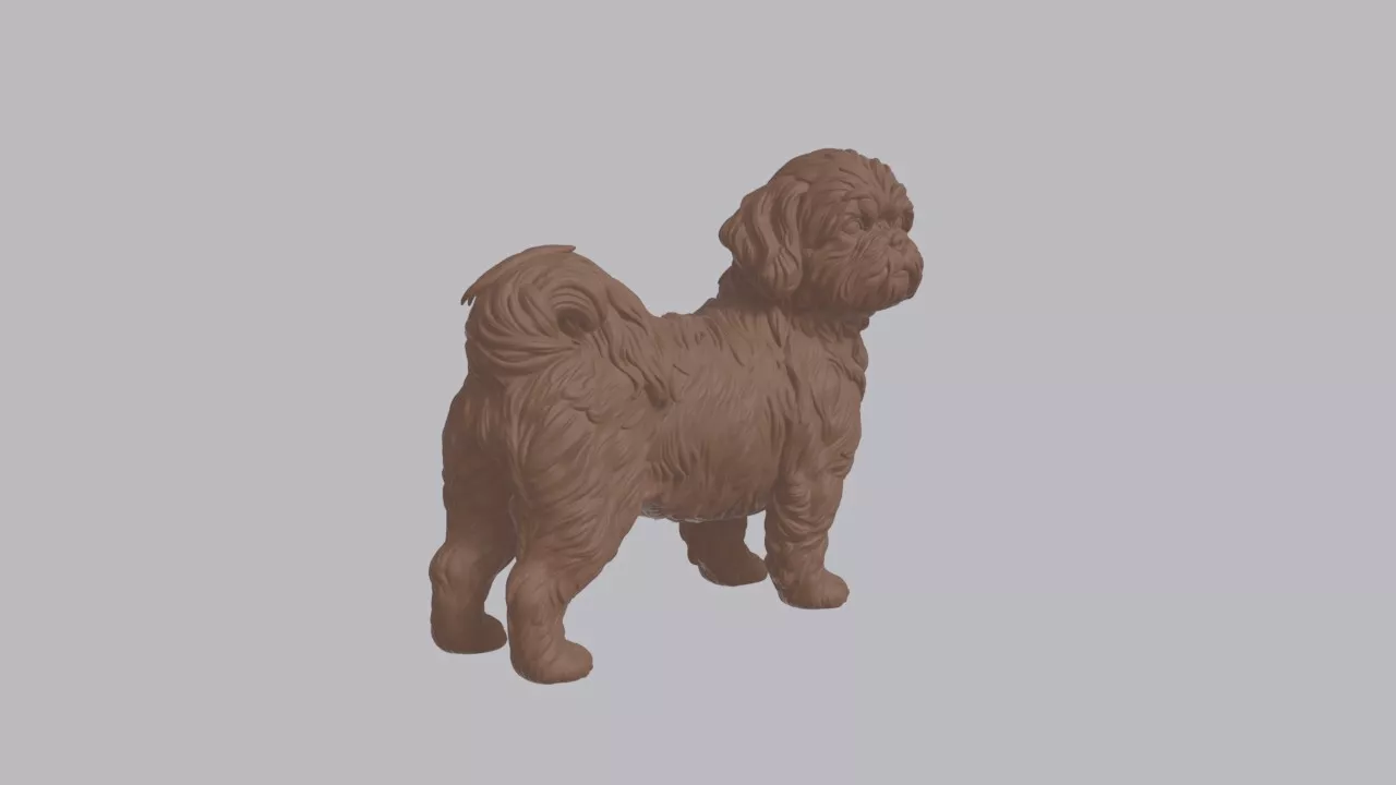 Realistic Shih Tzu Looking Side Dog Sculpture 3D print model