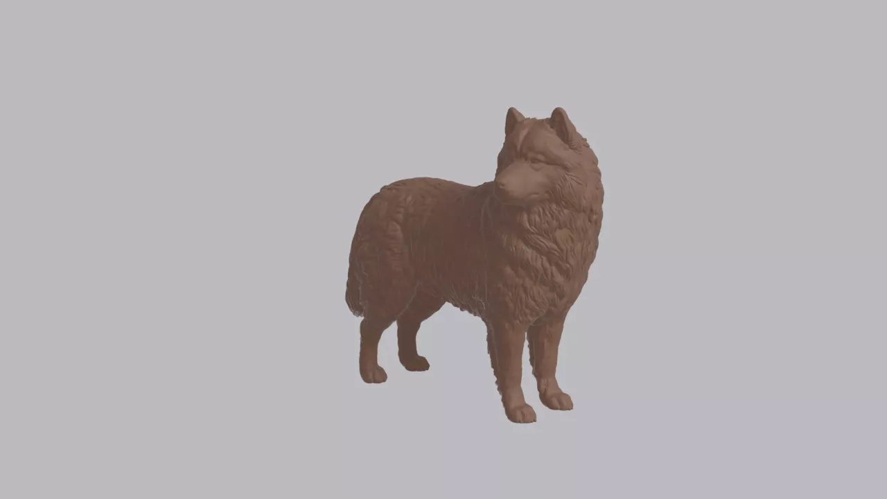 Realistic Samoyed Looking Side Dog Sculpture 3D print model