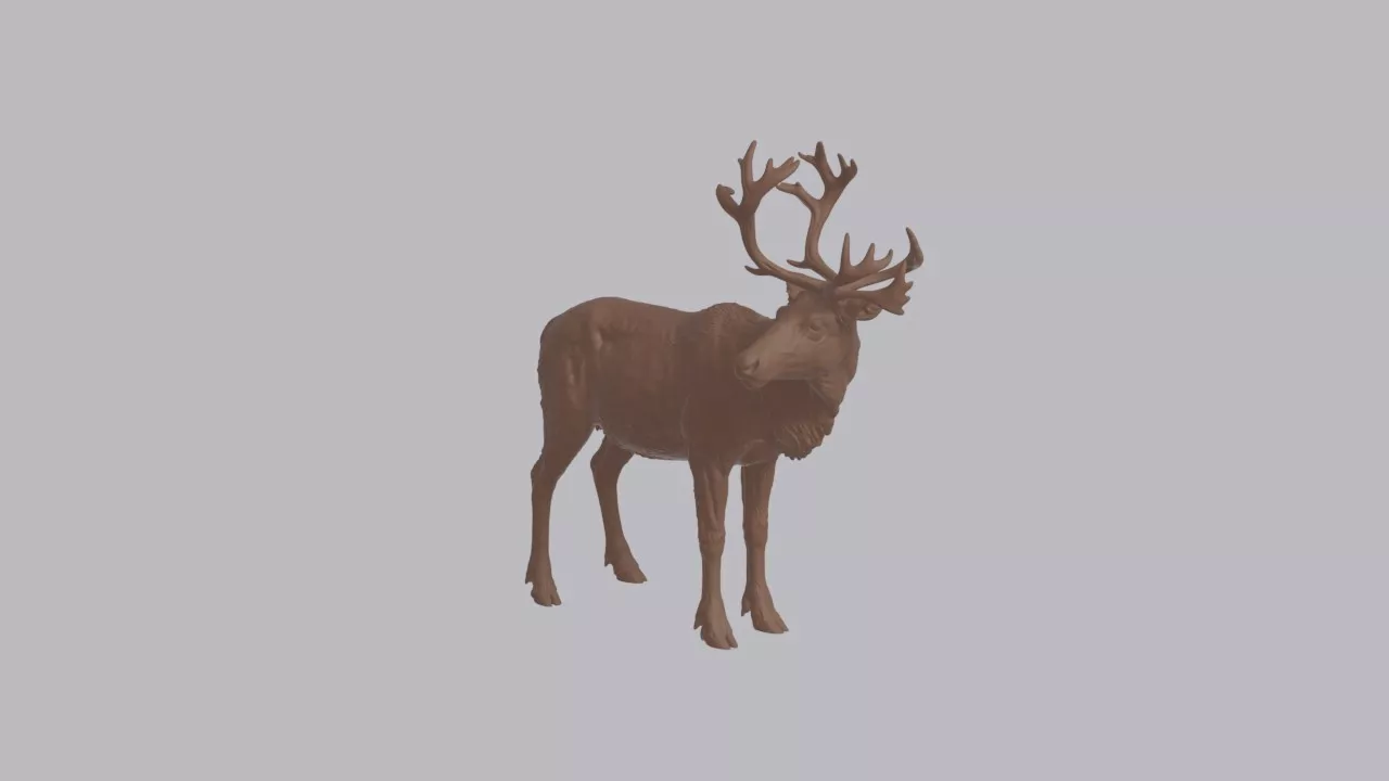 Realistic Reindeer Looking Side Animal Sculpture 3D print model
