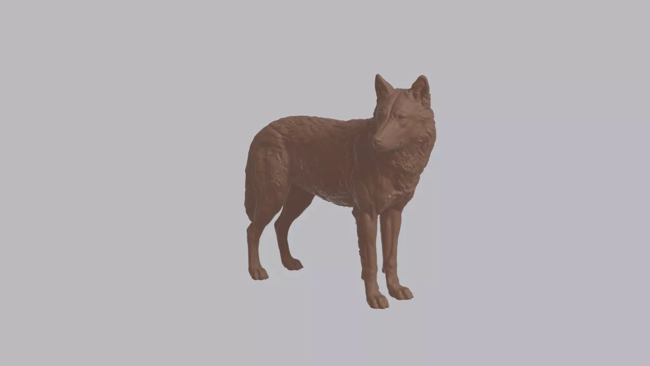 Realistic Red Wolf Looking Side Animal Sculpture 3D print model