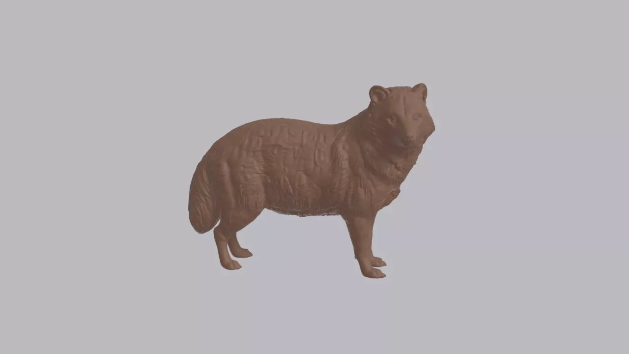 Realistic Raccoon Dog Looking Side Animal Sculpture 3D print model