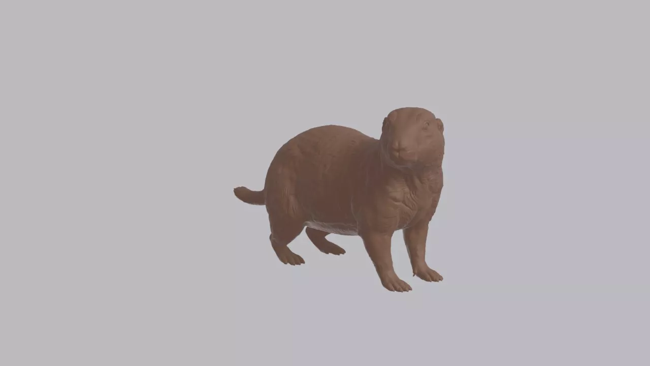 Realistic Prairie Dog Looking Side Animal Sculpture 3D print model