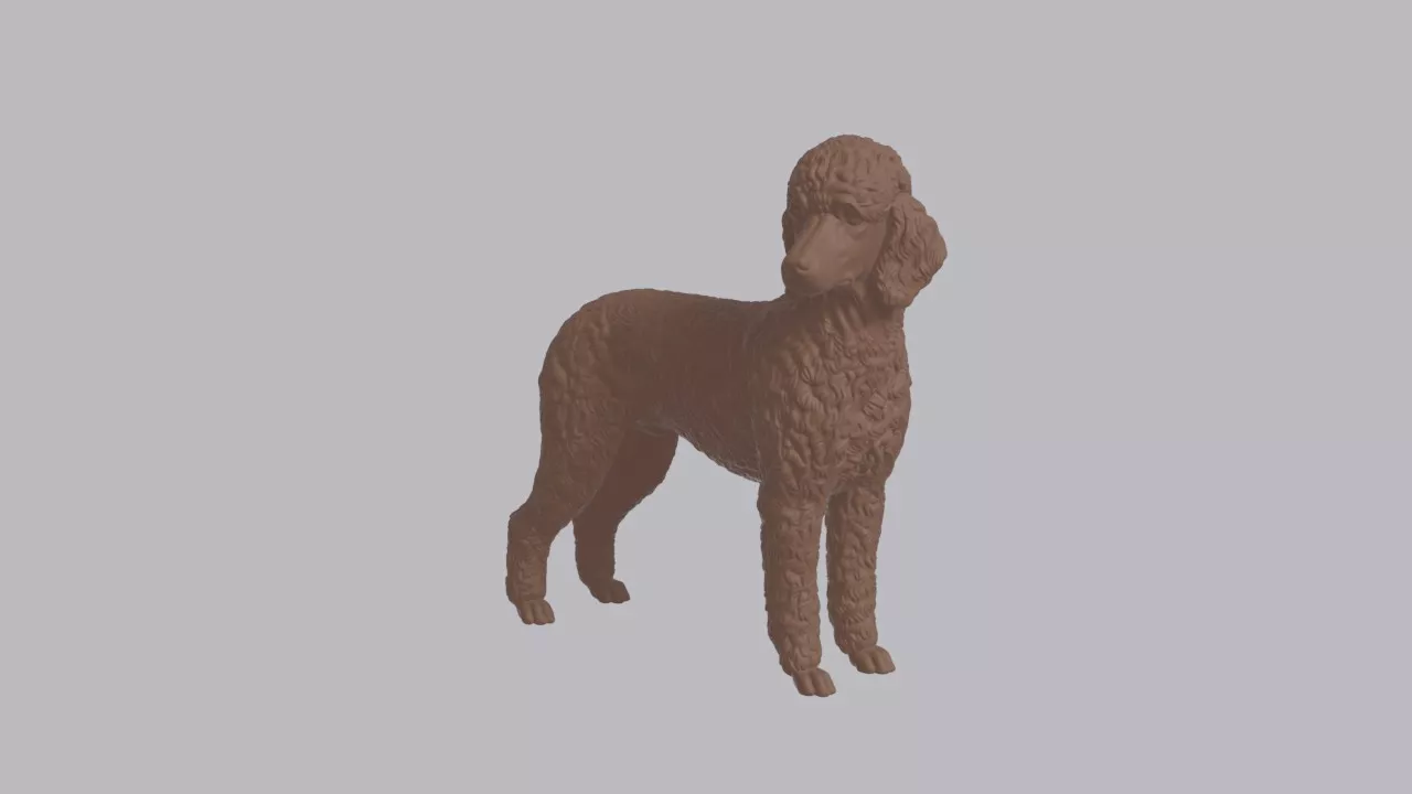 Realistic Poodle Looking Side Dog Sculpture 3D print model