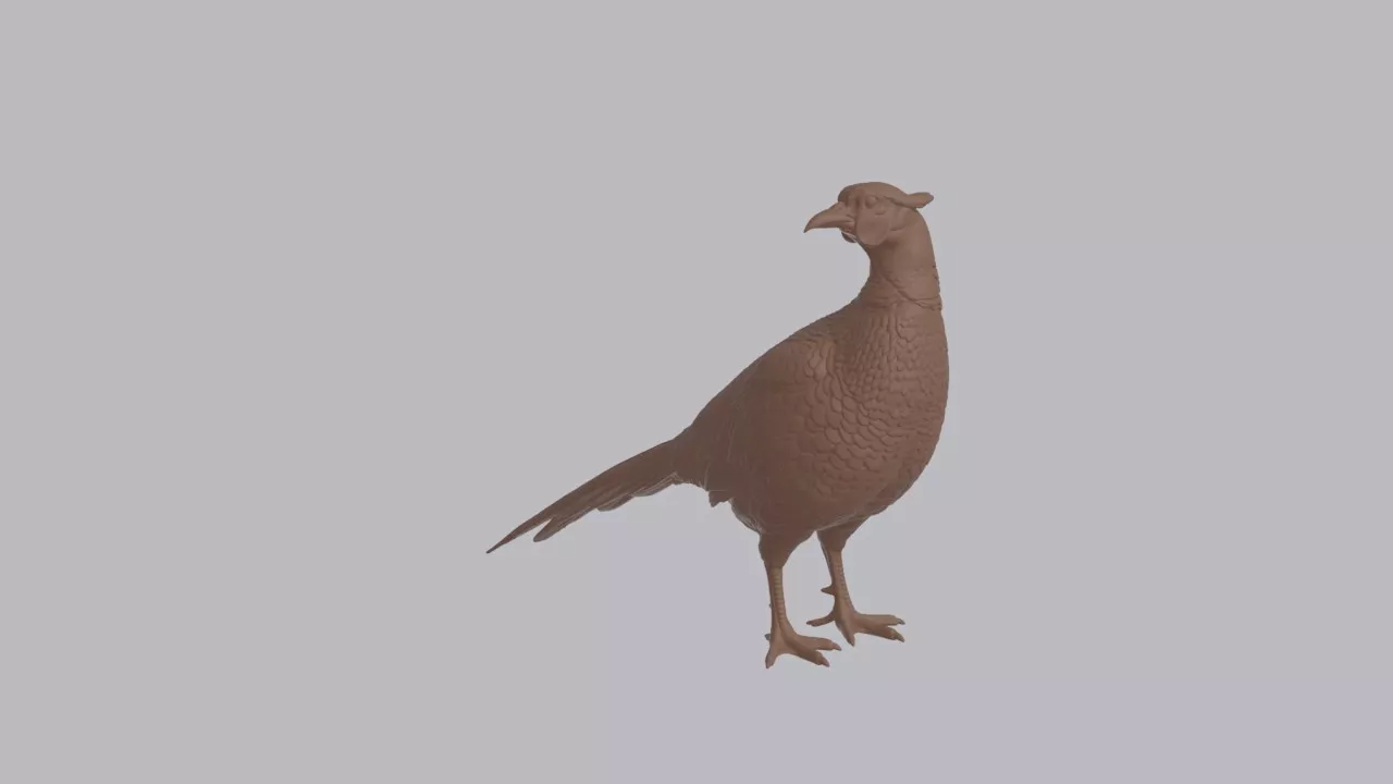 Realistic Pheasant Looking Side Bird Sculpture 3D print model