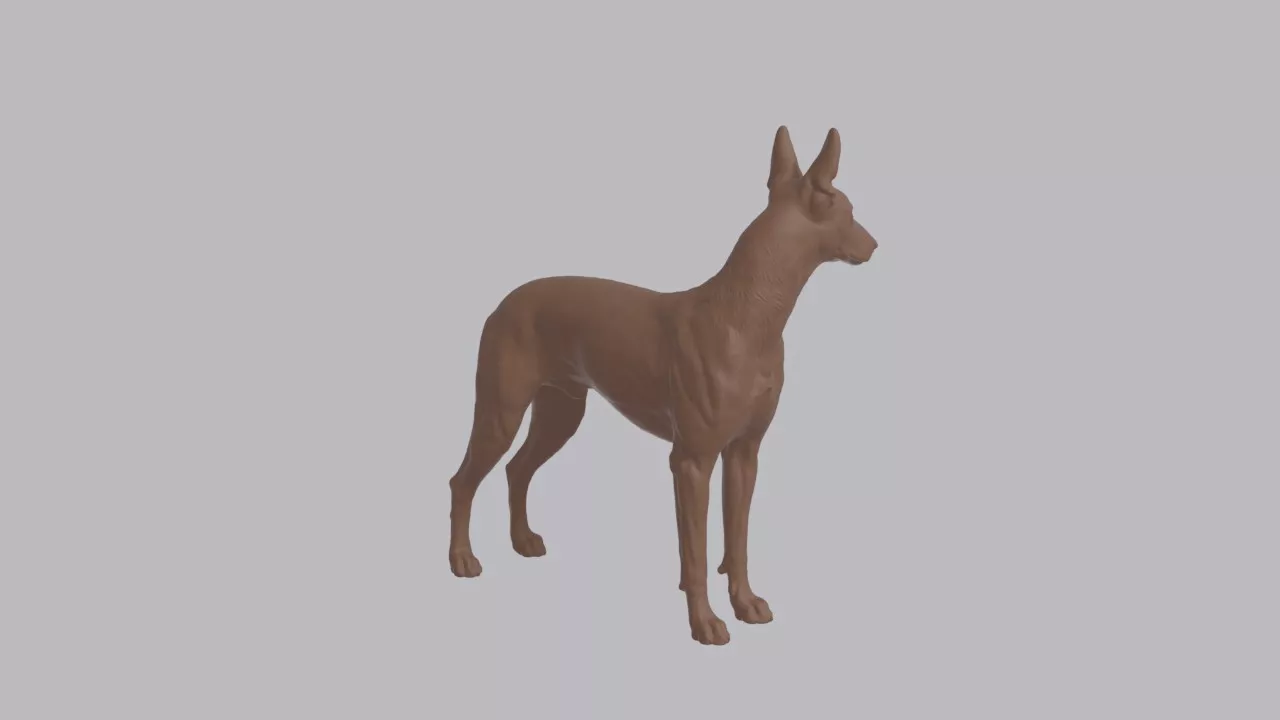 Realistic Pharaoh Hound Looking Side Dog Sculpture 3D print model