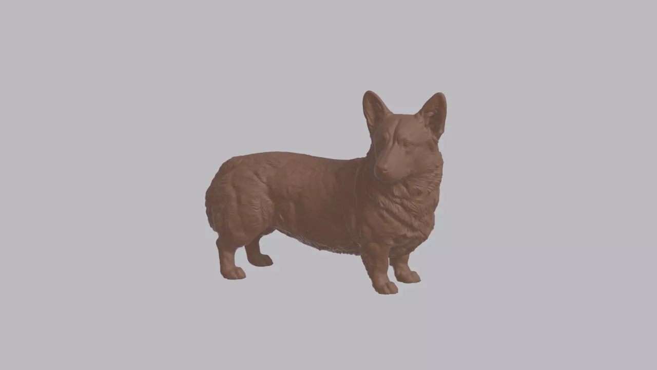 Realistic Pembroke Welsh Corgi Looking Side Dog Sculpture 3D print model