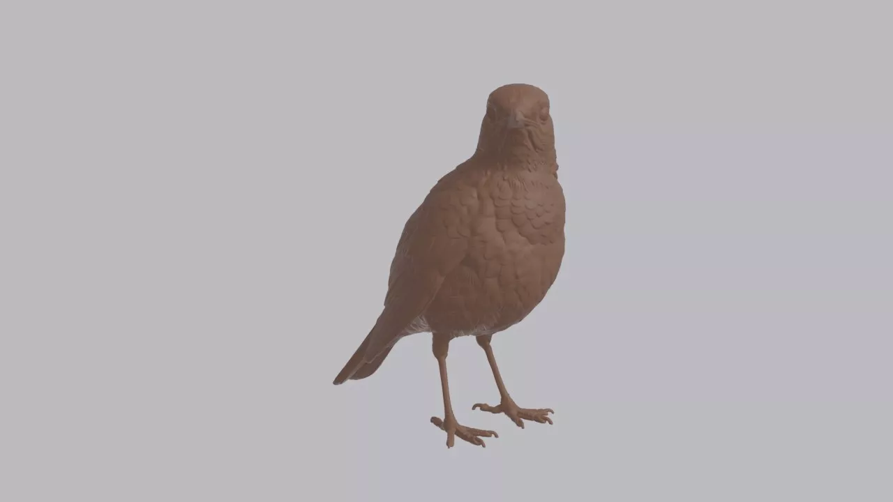 Realistic Nightingale Looking Side Bird Sculpture 3D print model