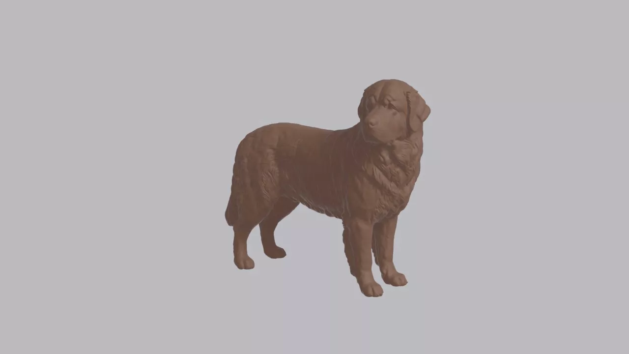 Realistic Newfoundland Dog Looking Side Animal Sculpture 3D print model