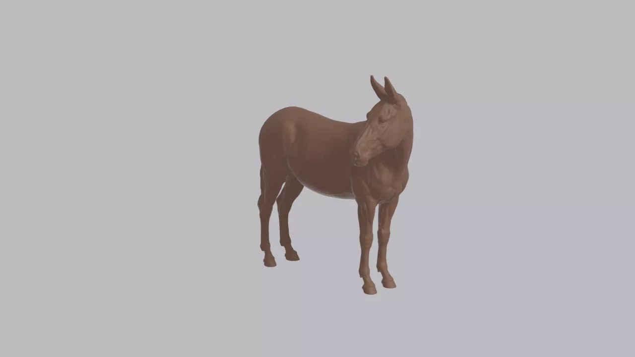 Realistic Mule Looking Side Animal Sculpture 3D print model