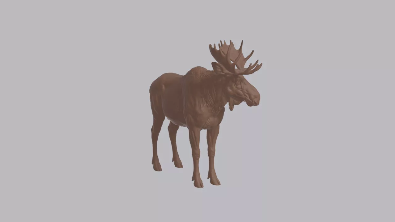 Realistic Moose Looking Side Animal Sculpture 3D print model