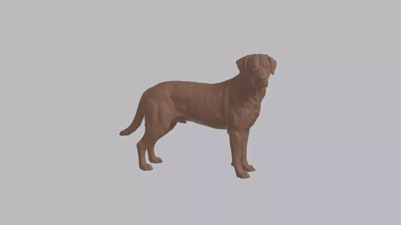 Realistic Mixed-breed Dog Looking Side Animal Sculpture 3D print model