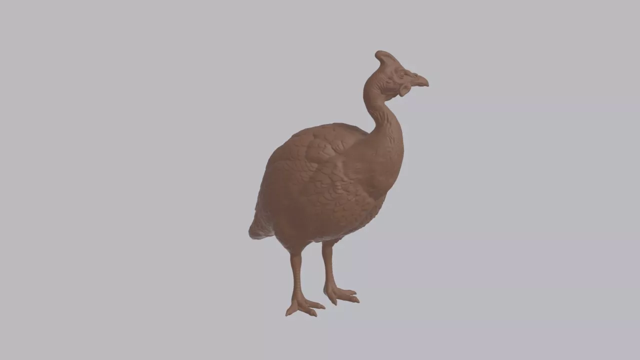 Realistic Guinea Fowl Looking Side Bird Sculpture 3D print model