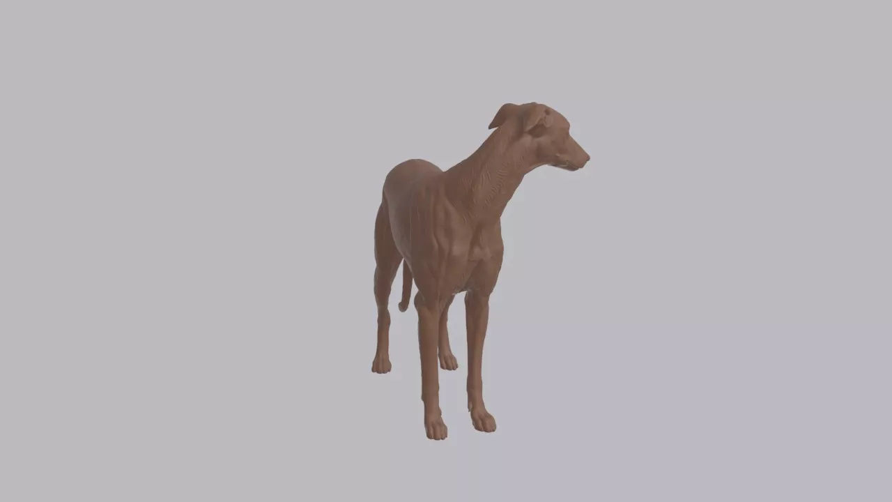Realistic Greyhound Looking Side Dog Sculpture 3D print model