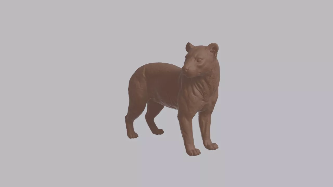 Realistic Fossa Looking Side Animal Sculpture 3D print model