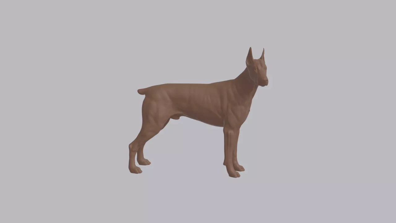 Realistic Doberman Pinscher Looking Side Dog Sculpture 3D print model