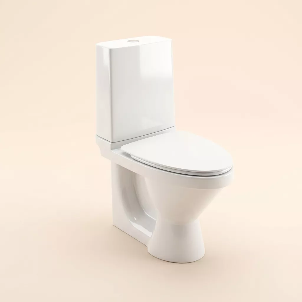 LAUFEN RIGO 827360 Floorstanding WC Combination 3D model